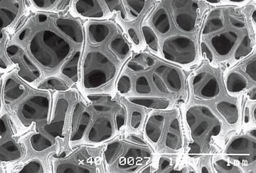 Celmet™ porous metal (magnified image)