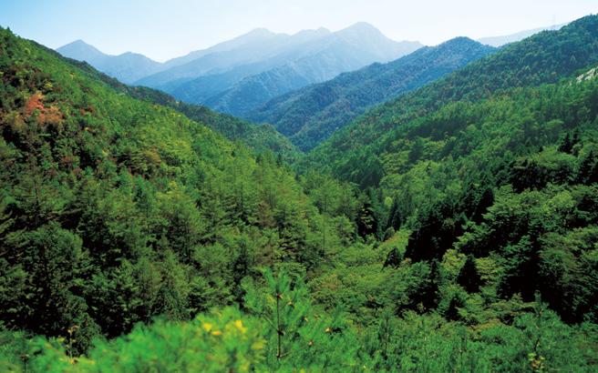The Besshi Copper Mines in restored lush green forest（Photo courtesy of Sumitomo Forestry Co., Ltd.）