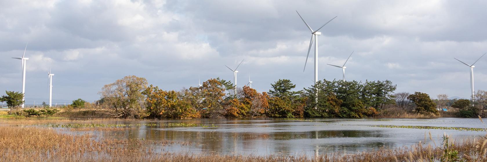 为普及可再生能源，不断挑战 ～从根基上为日本国内最大规模的风力发电提供支持