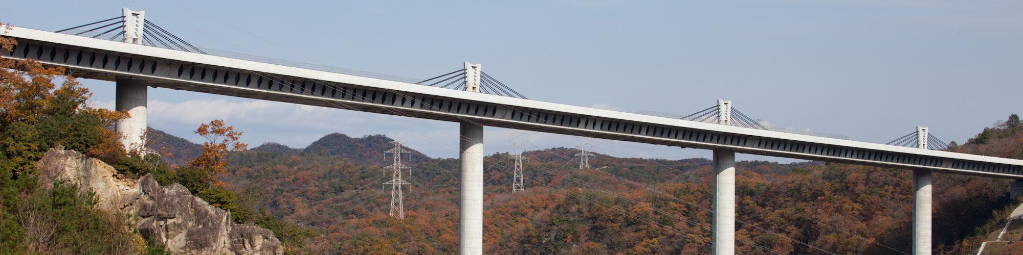 新名神高速公路 （武库川桥）