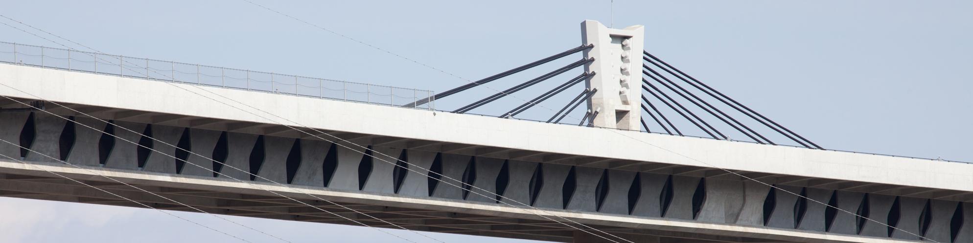 蝶形腹板结构的桥桁和低主塔　（武库川桥）