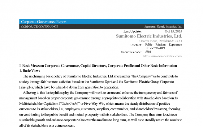 Corporate Governance Report