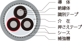 F-2PNCT 補強形 F-3PNCT断面図