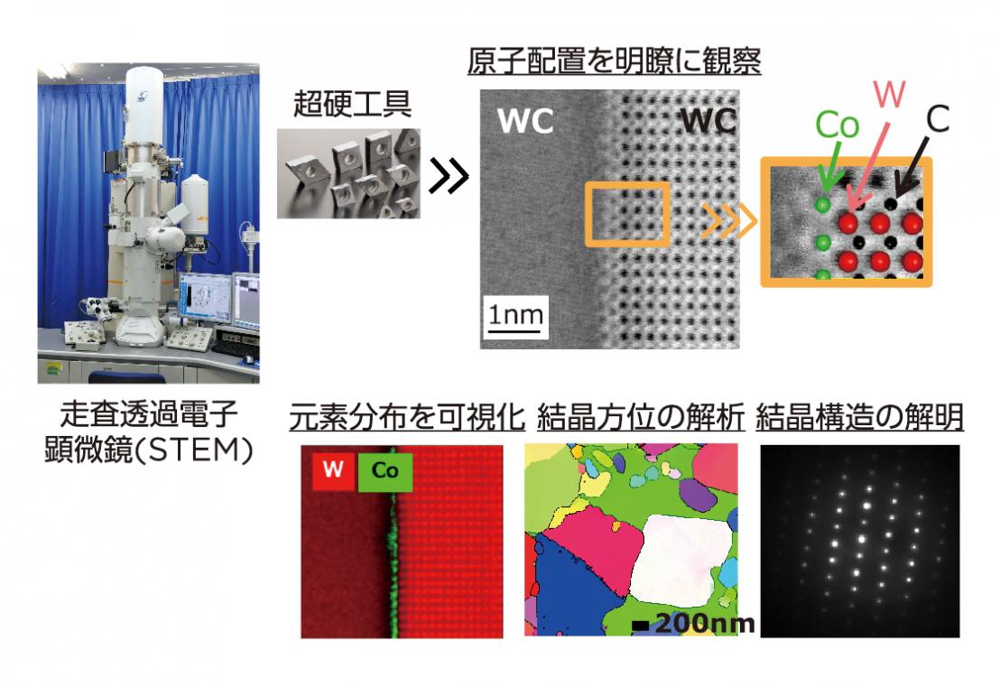 STEMを用いた構造解析例
