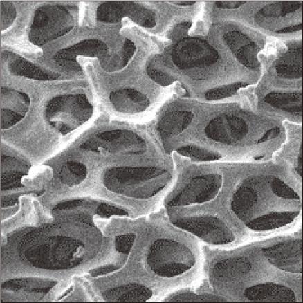 アニオン交換膜 （AEM） 型水電解装置への金属多孔体セルメットの適用