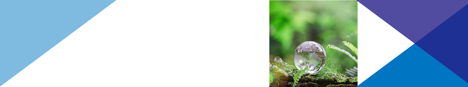 バイオマス電線ヘッダーバナー.