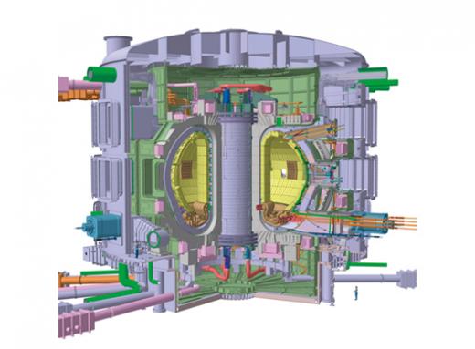 ITER 本体の外観図