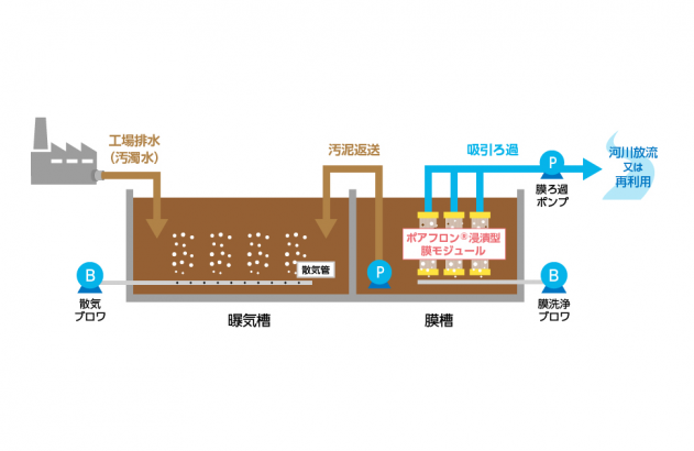 標準型