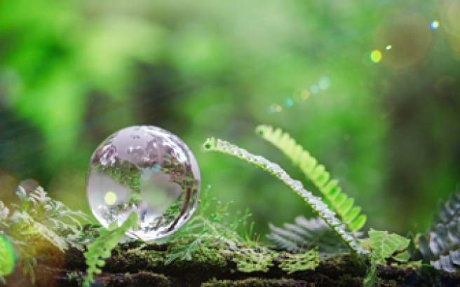 バイオマス電線