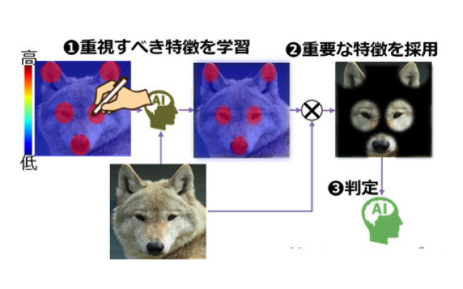 アテンションによるＡＩ学習
