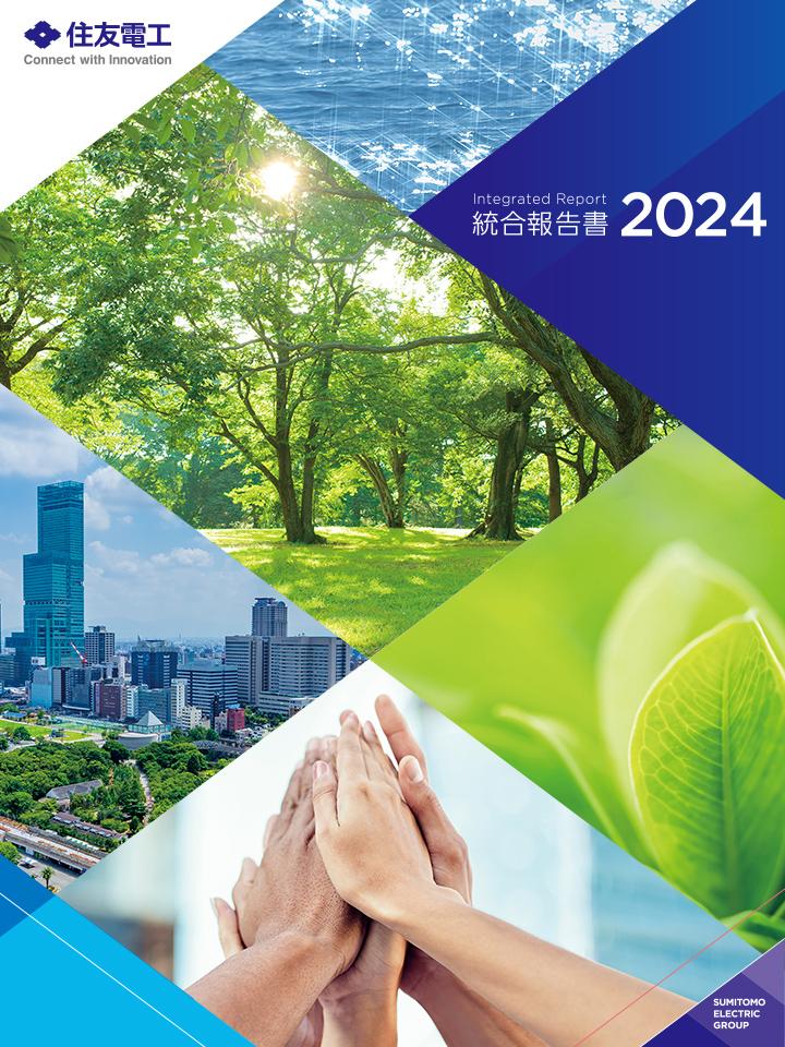 Integrated Report2025