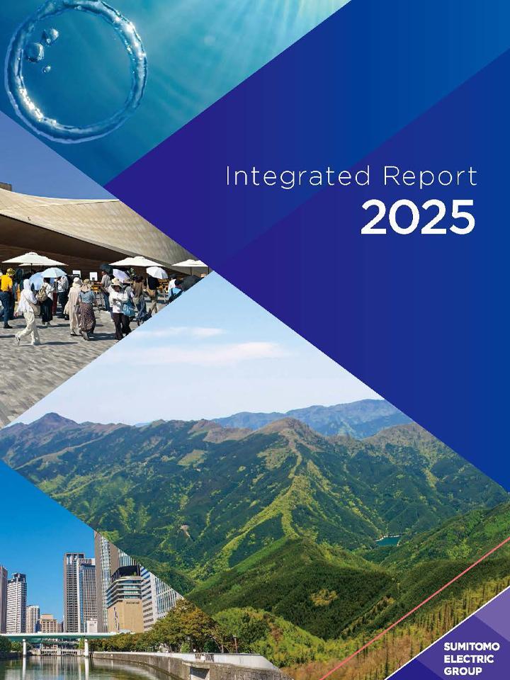 統合報告書 2025