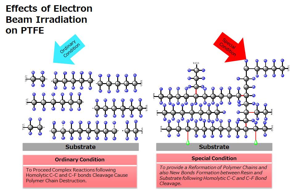 Effects of Electron Beam Irradiation on PTFE