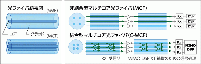 ※波長分割多重：複数の信号をそれぞれ異なる波長の光で搬送し、光ファイバ1 本当たりの伝送容量を増加させる伝送技術。