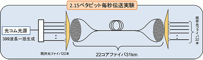 実験概要図