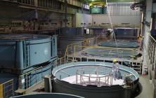 製造された海底ケーブルは、ケーブル敷設船のケーブルタンクに船積みされ、敷設される。（写真提供：株式会社OCC）