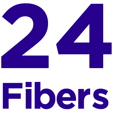 24-fiber