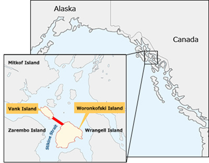 submarine cable system