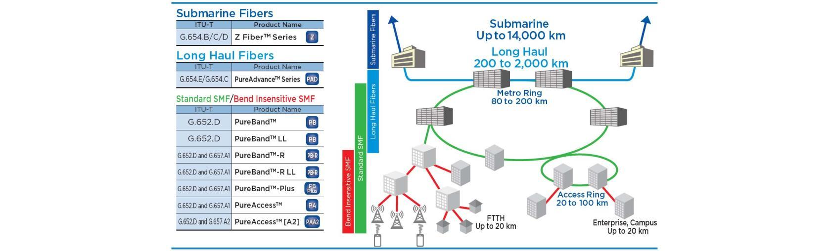 Choose from Application Types