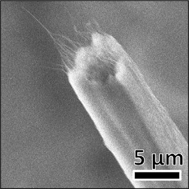 Ultra-High Strength Carbon Nanotube Yarn Made by New Growth Method