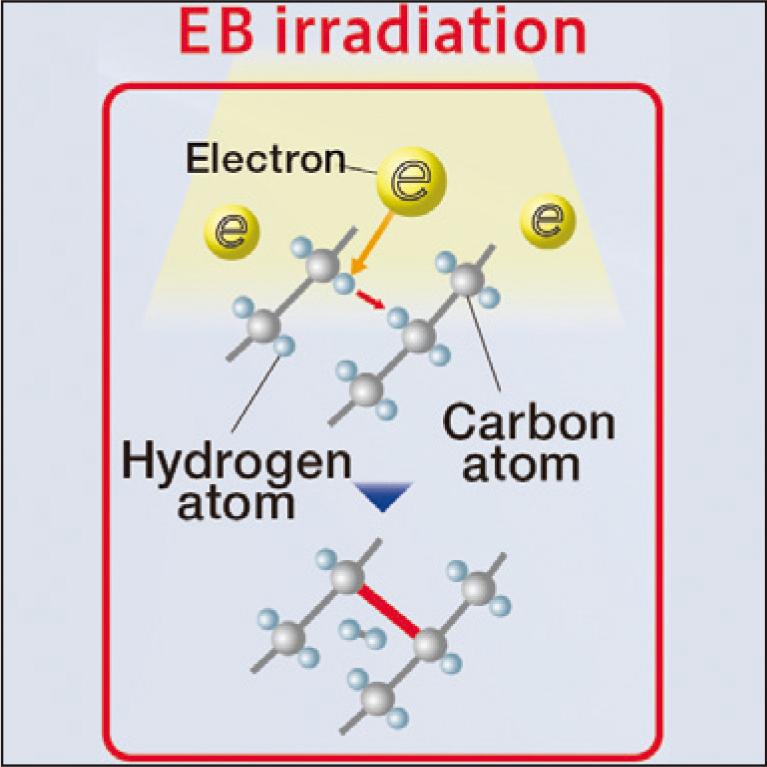 Consideration on Electron Beam Cross-linked Polyethylene