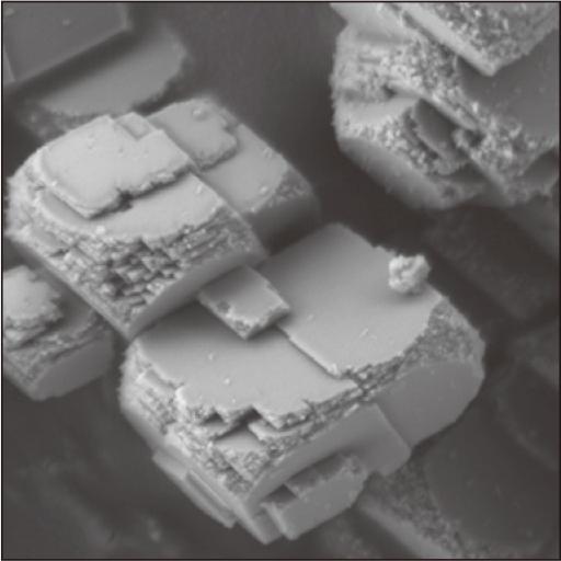 Feasibility Study of Iron Carbonate Synthesis