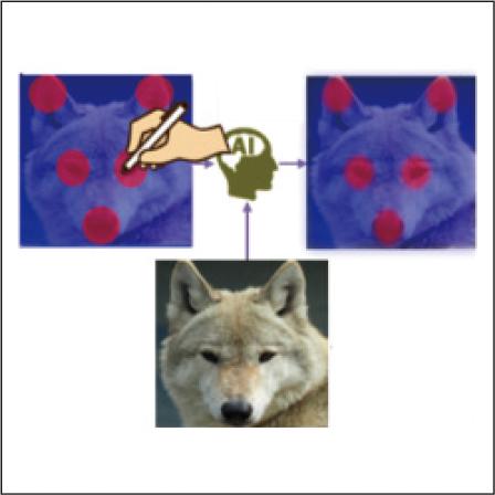 AI for Visual Inspection Reflecting Human Expertise