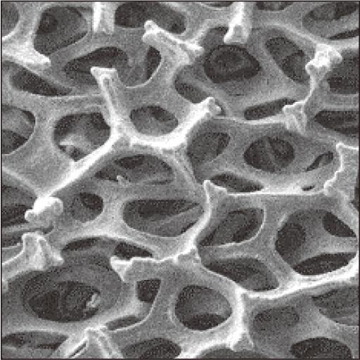 Application of Porous Metal Celmet to AEM Water Electrolyzers