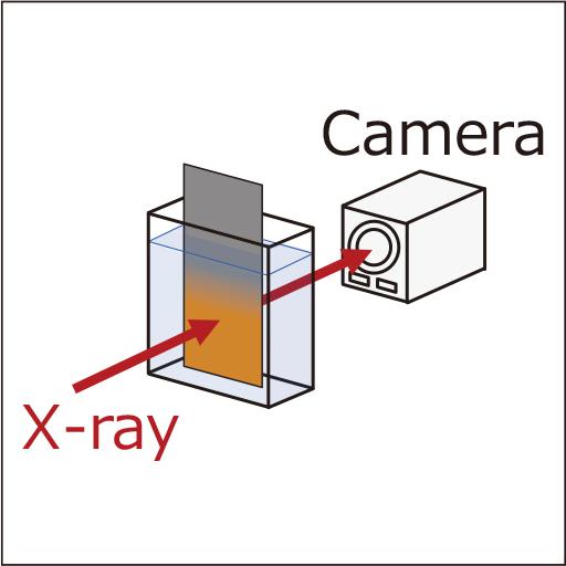 In Situ Analysis of Electroless Copper Plating Using Synchrotron Radiation