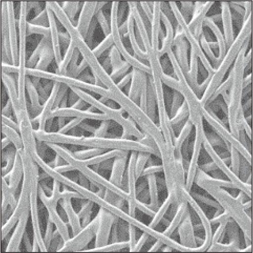 Application of Novel Porous Metals with Felt-like Structures to AEM Water Electrolyzers