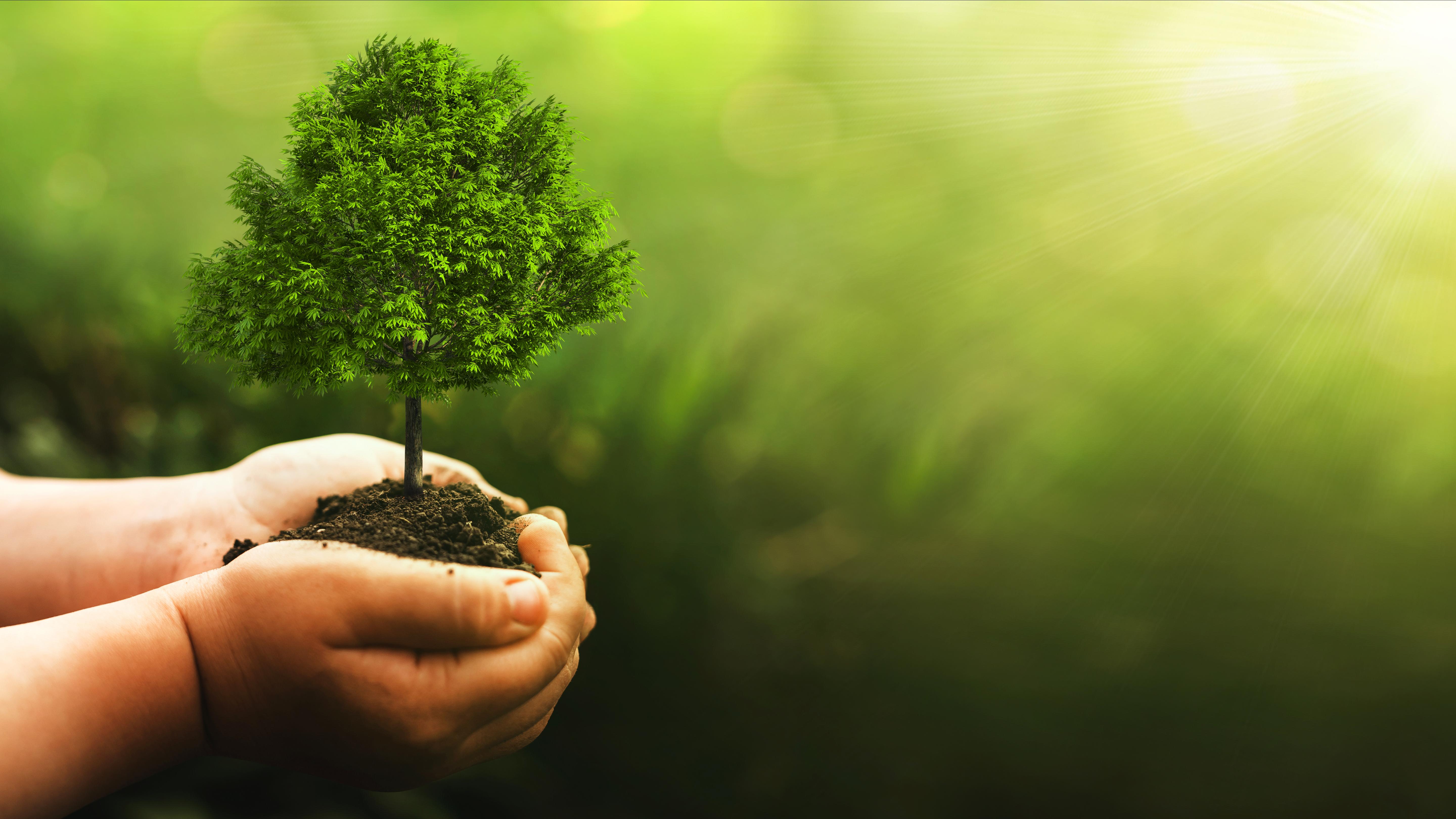 Sustainability