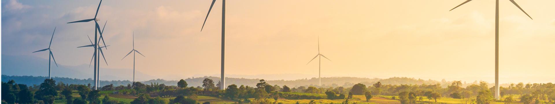 Initiatives for the Next Generation