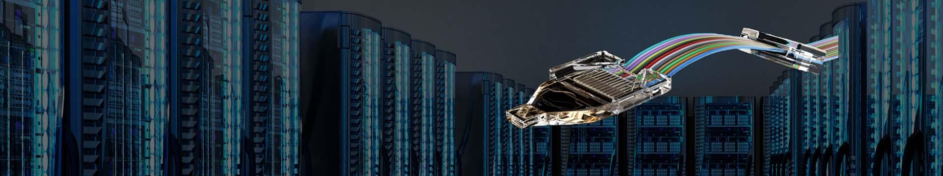 Header_EBO_large_360