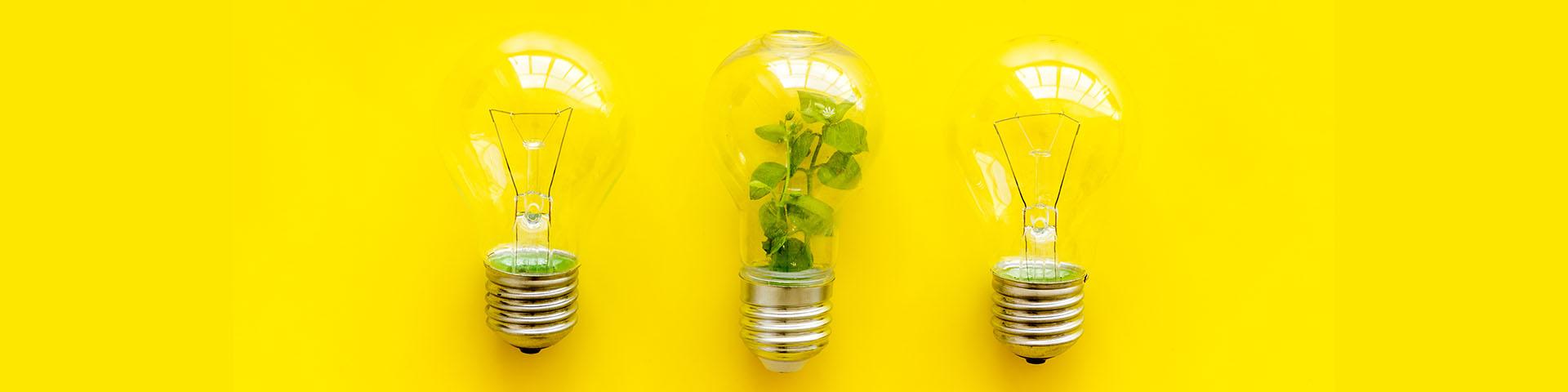 Rechargeable LED Bulb: The Way to a Brighter Future