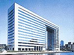 Broad Net Mux Corporation