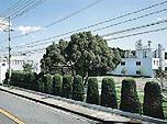 Sumitomo Electric Industrial Wire & Cable Inc.