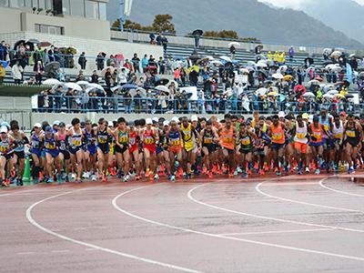 Runners at the starting line