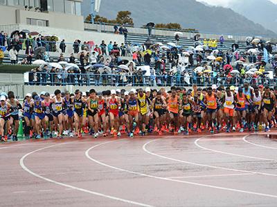 Runners at the starting line