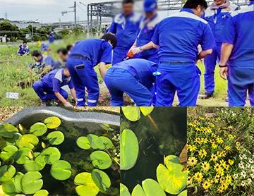 Greening Activities