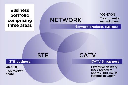 Business portfolio comprising three areas