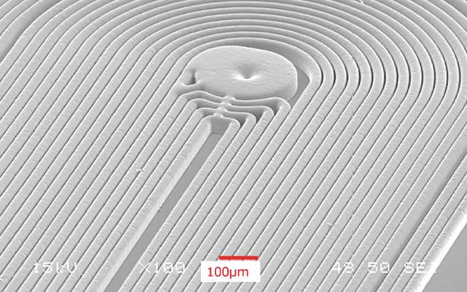 Scanning electron microscope image of an actuator coil