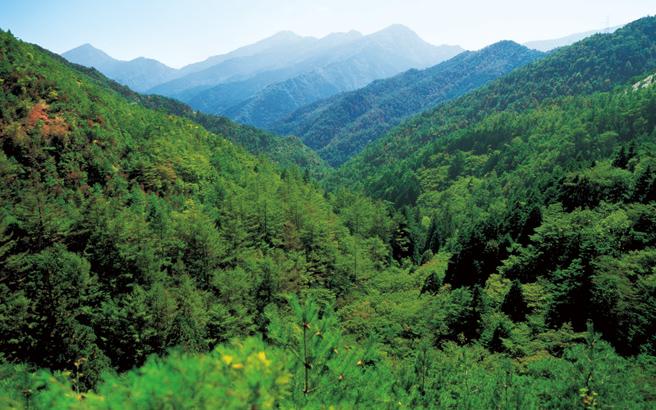 The Besshi Copper Mines in restored lush green forest(Photo courtesy of Sumitomo Forestry Co., Ltd.)