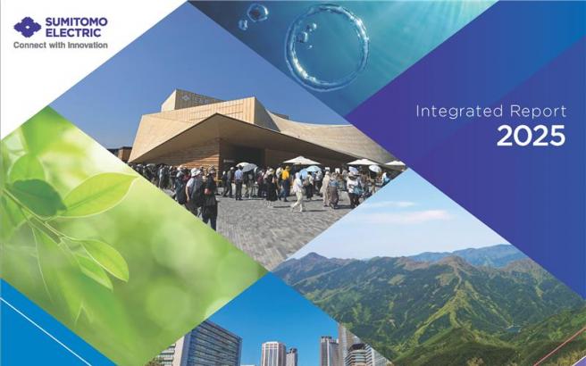 Integrated Report 2025