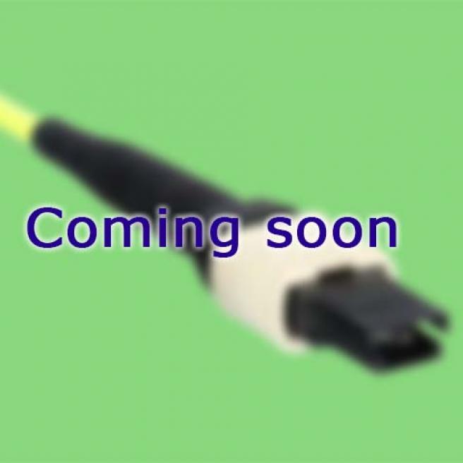 EBO-16-MPO-soon