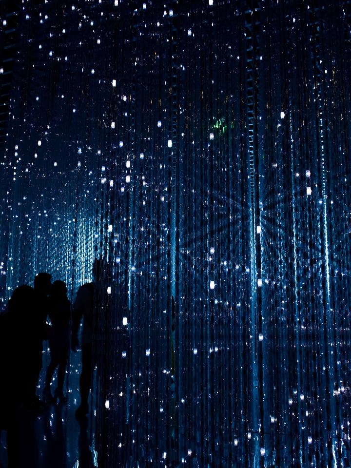 DX Promotion Committee