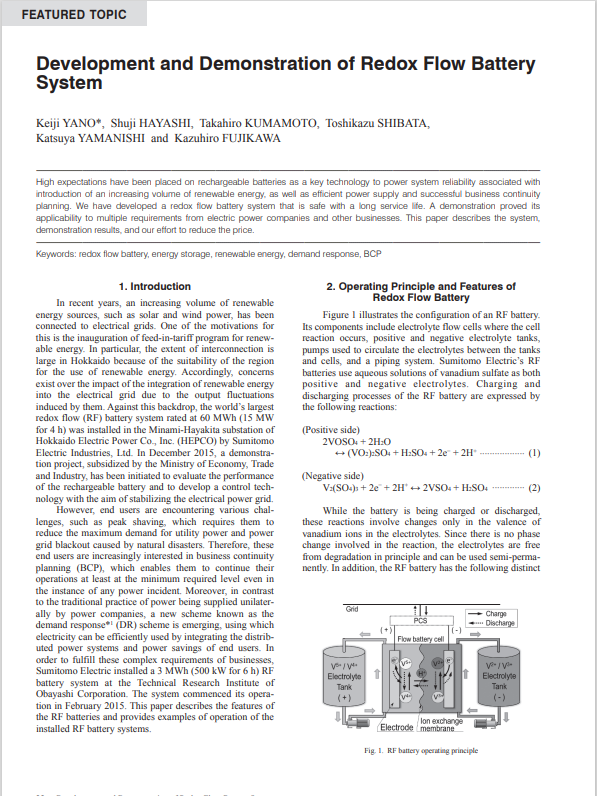 Development and Demonstration of Redox Flow Battery