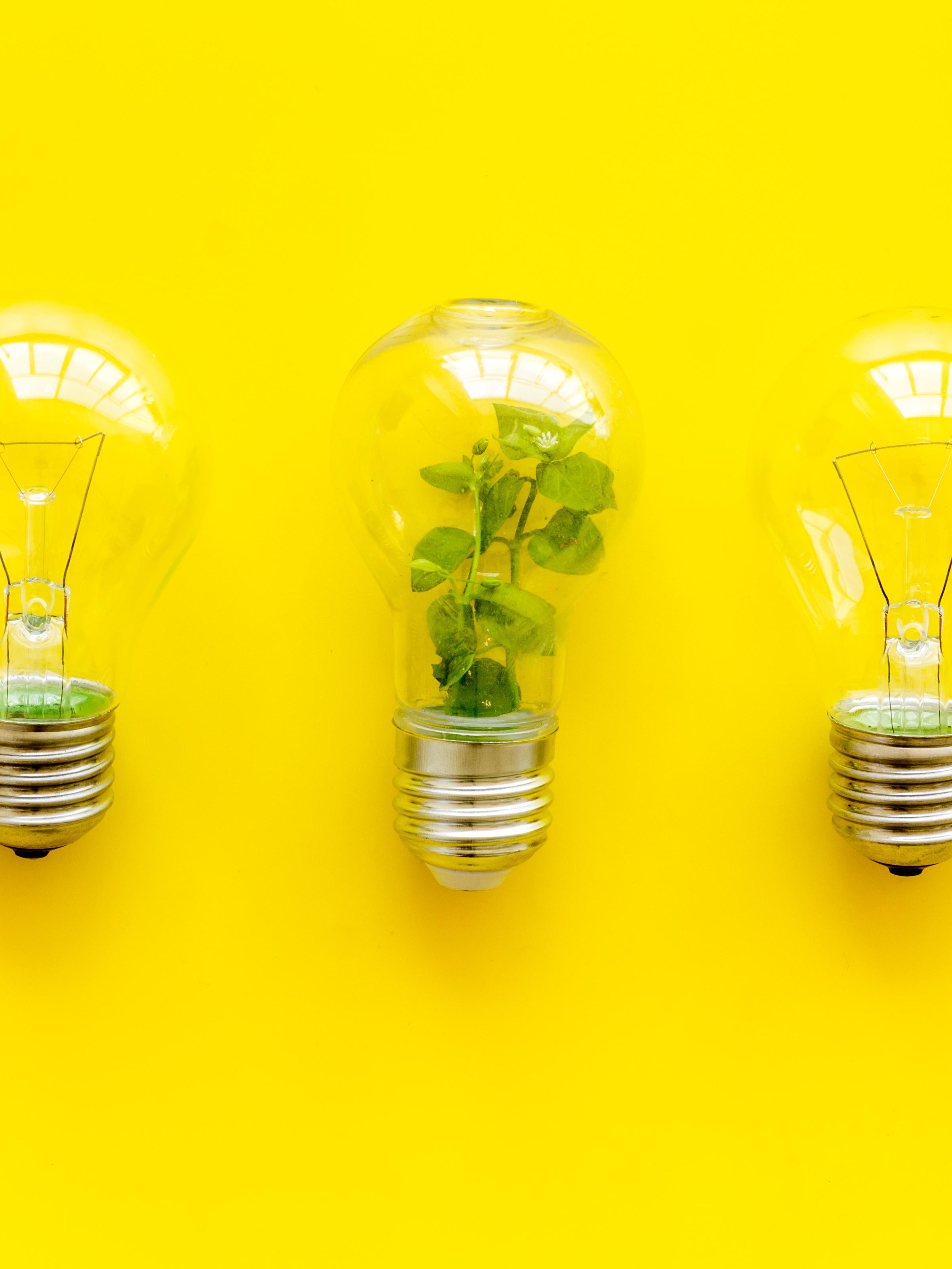Making a Brighter Future for Renewable Energy