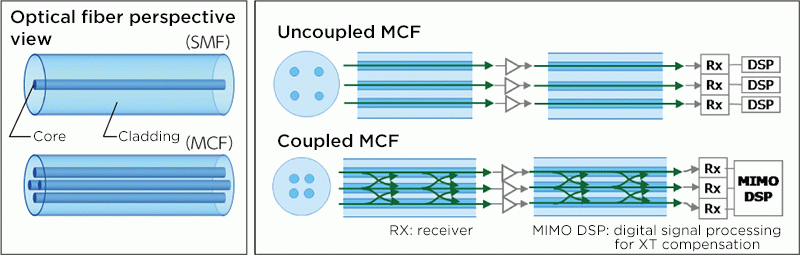 * Wavelength division multiplexing: technology to transmit multiple signals with light of respectively different wavelengths in order to increase the transmission capacity of an optical fiber