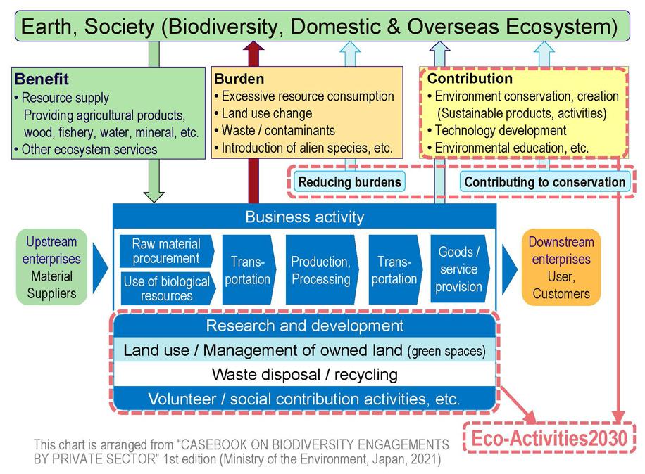 Eco Activities 2030