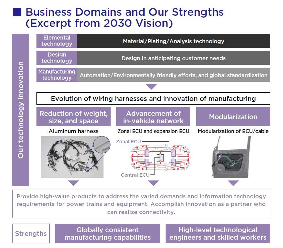 Business Domains and Our Strengths (Excerpt from 2030 Vision)